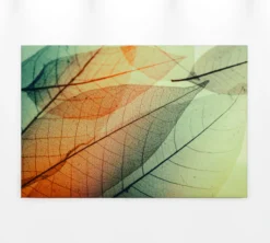 Livingwalls Leinwand, Blätter, Transparenz, 90x60 cm DD120273