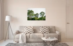 Livingwalls Leinwand, Bäume, Himmel, 90x60 cm DD120290