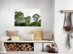 Livingwalls Leinwand, Bäume, Himmel, 90x60 cm DD120290