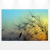 Livingwalls Leinwand, Pusteblume, Sonnenuntergang, 90x60 cm DD120284