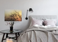 Livingwalls Leinwand, Pusteblumen, Unscharfer Hintergrund, 90x60 cm DD120285