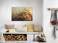 Livingwalls Leinwand, Pusteblumen, Unscharfer Hintergrund, 90x60 cm DD120285