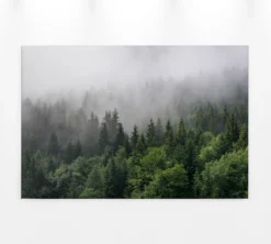 Livingwalls Leinwand, Wald, Nebel, 90x60 cm DD120291
