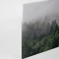 Livingwalls Leinwand, Wald, Nebel, 90x60 cm DD120291