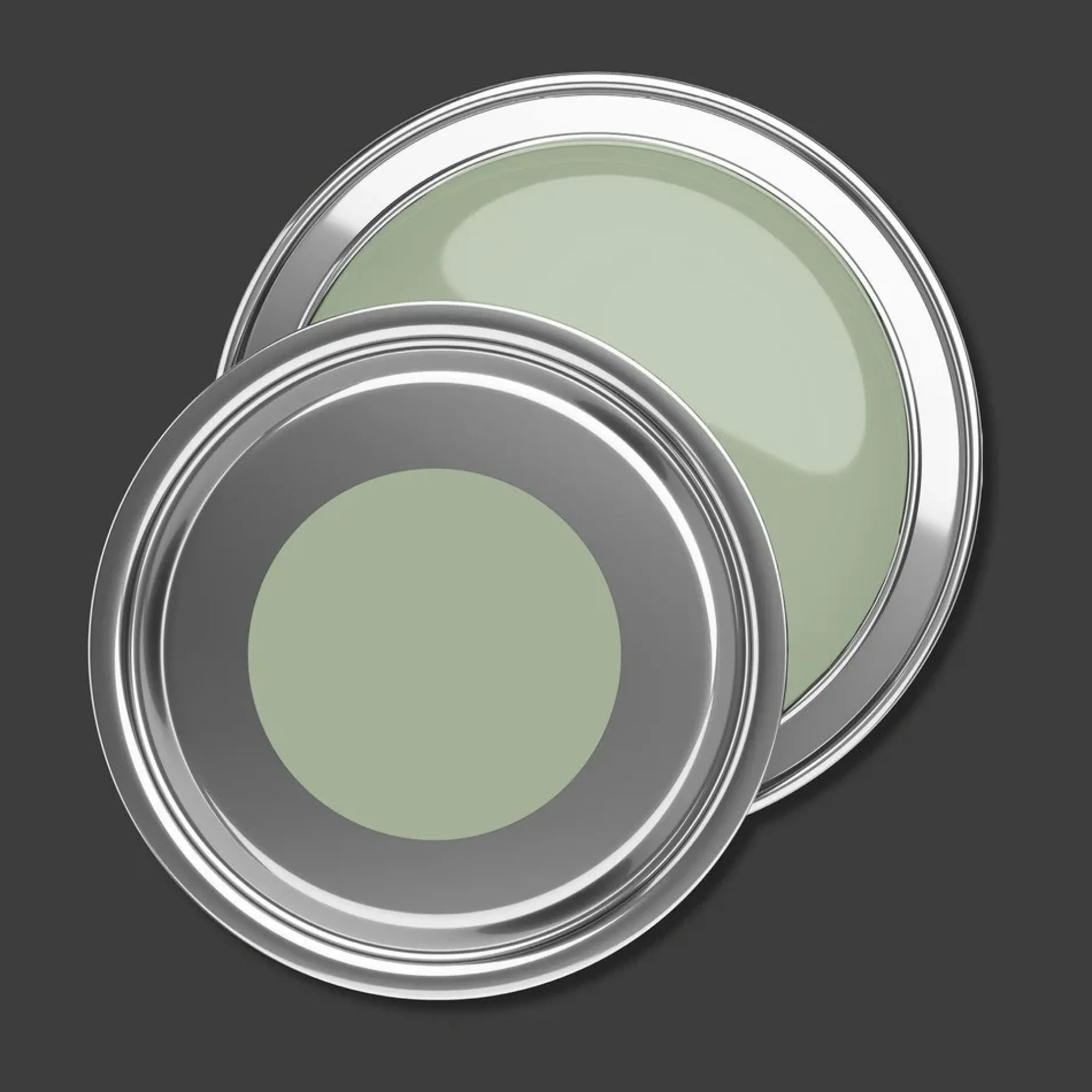 PURO Wandfarbe Grün "Sage Green" DD125962 1 l