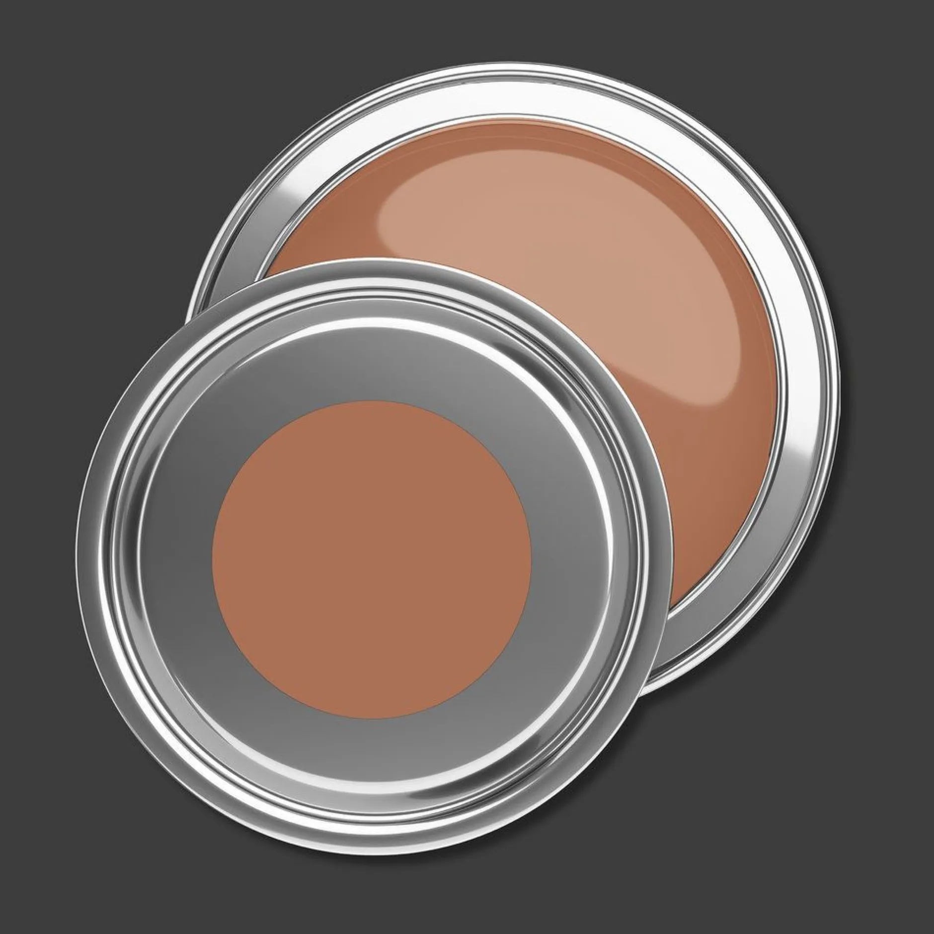 PURO Wandfarbe Rot "Dusty Orange" DD126166 1 l