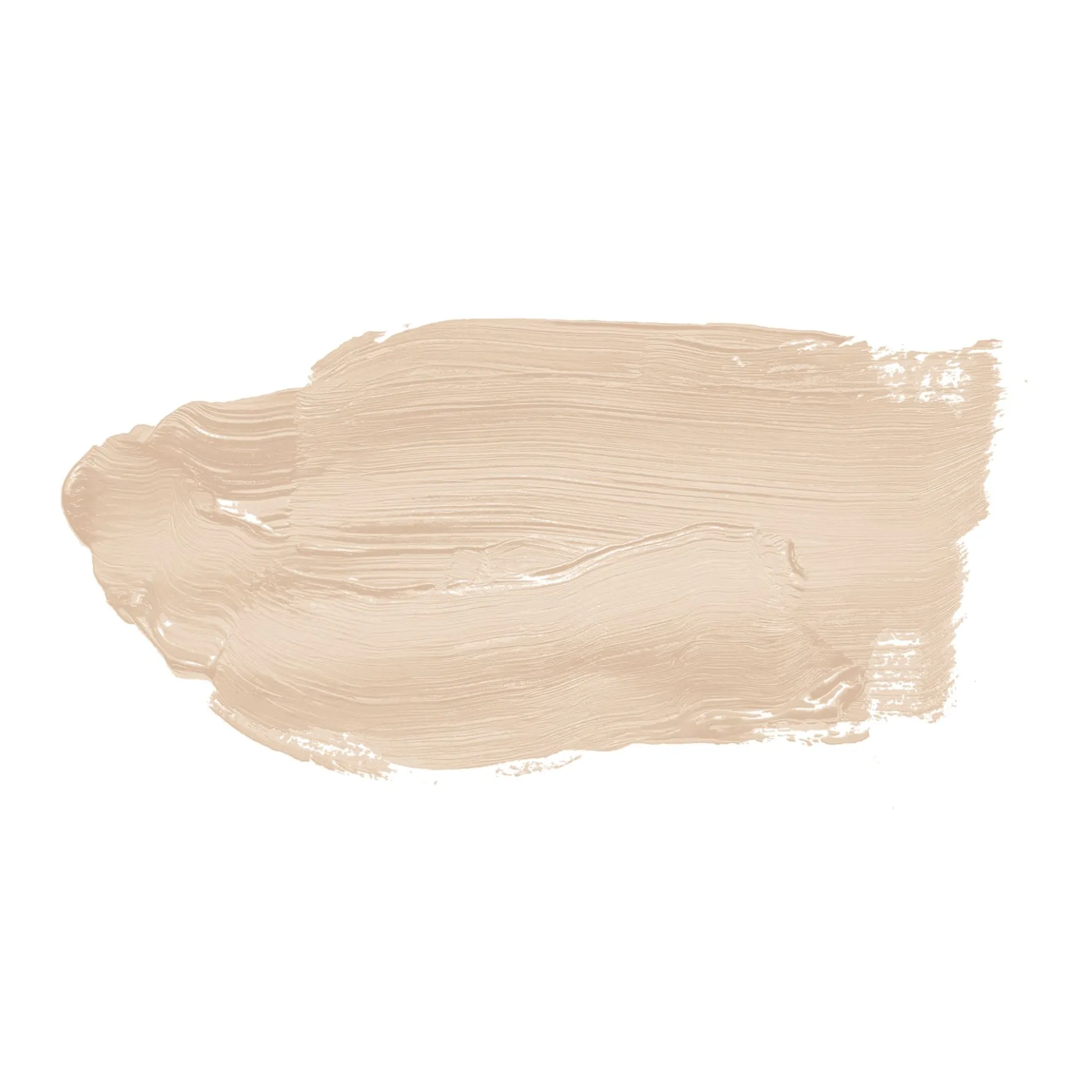 The Color Kitchen Wandfarbe Beige "Pure Pampas" TCK6008 2,5 l