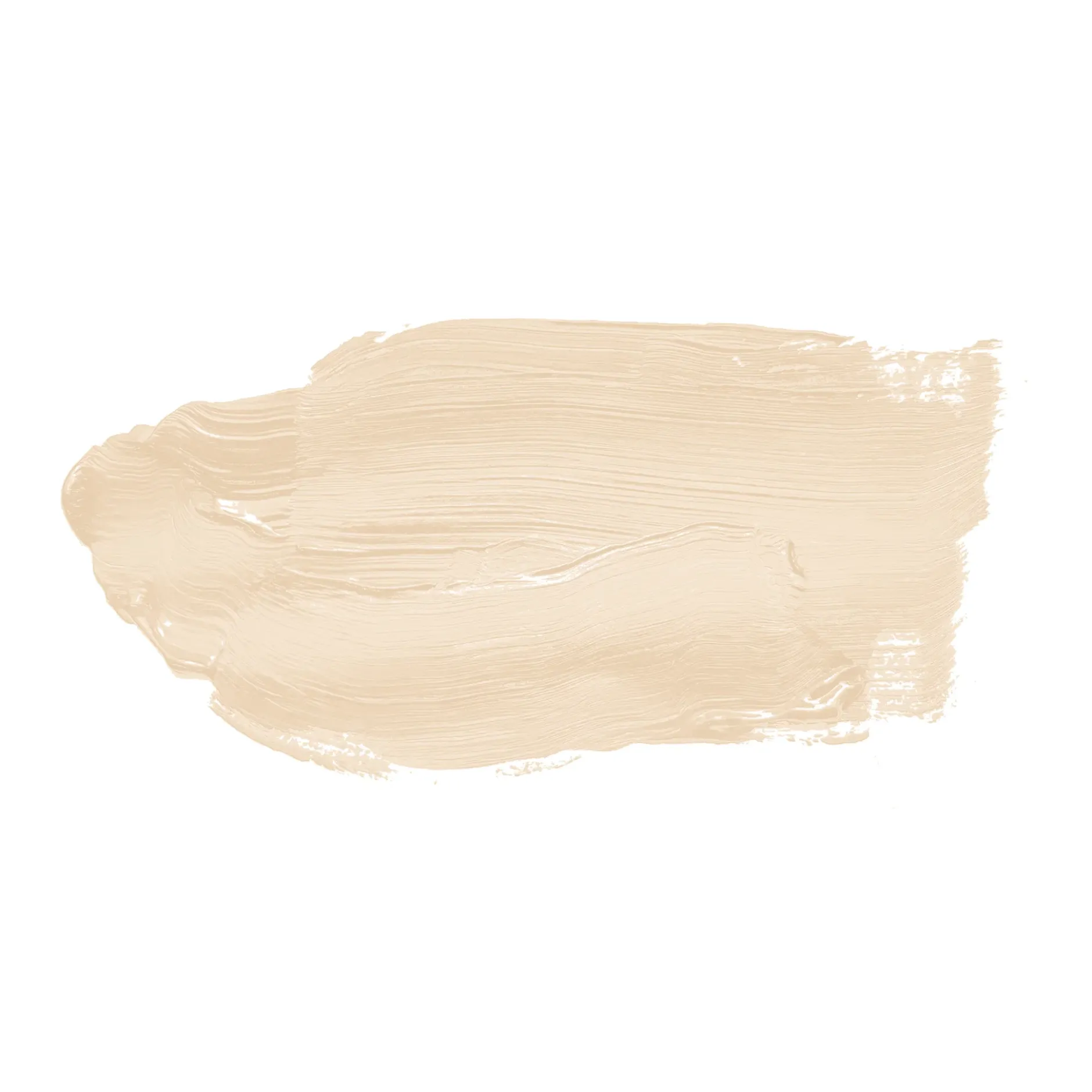 The Color Kitchen Wandfarbe Beige "Precious Popcorn" TCK5000 2,5 l