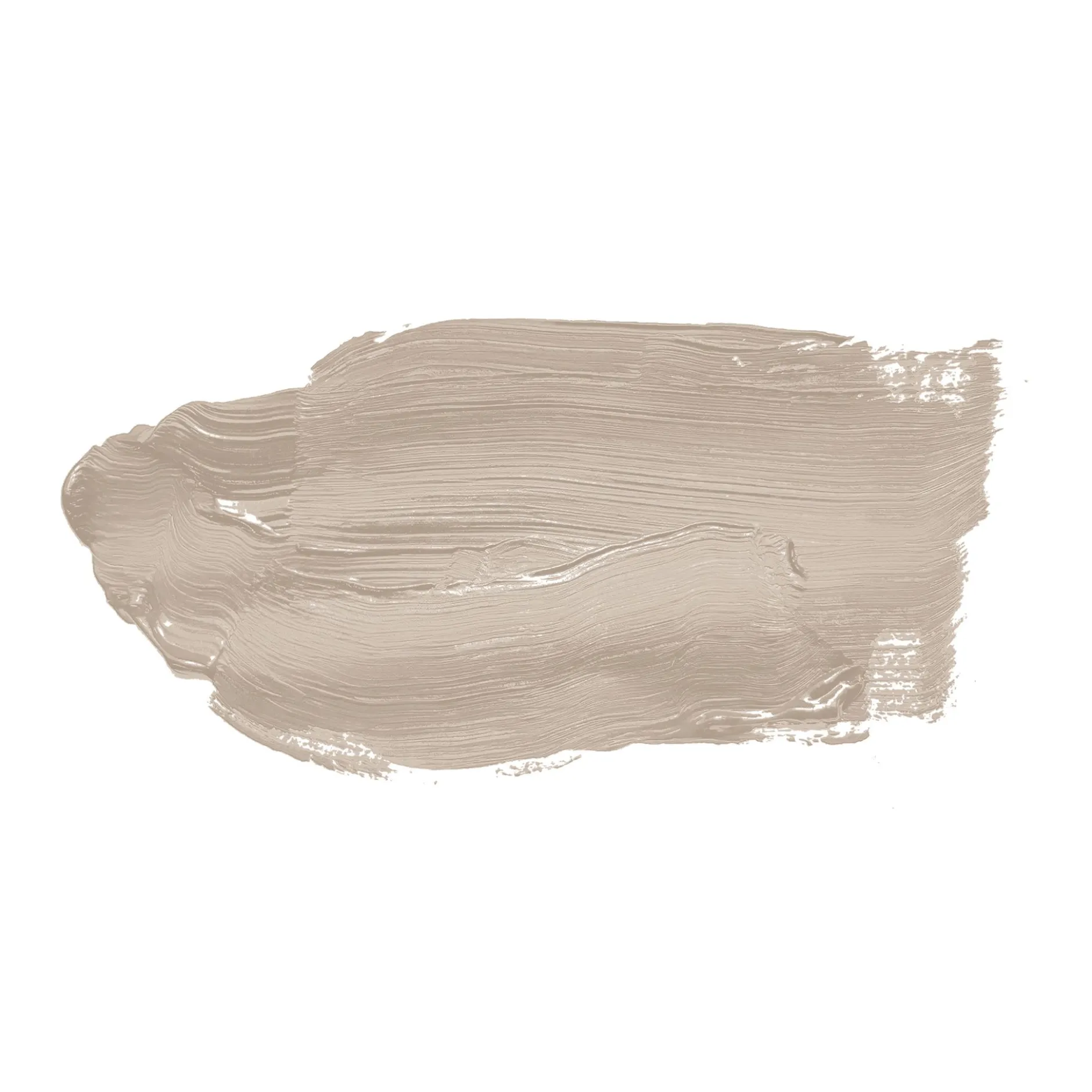 The Color Kitchen Wandfarbe Beige "Seedy Sunflower" TCK6016 2,5 l
