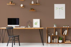 The Color Kitchen Wandfarbe Braun 