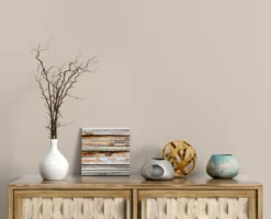 The Color Kitchen Wandfarbe Beige 