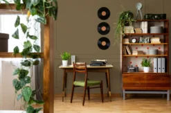 The Color Kitchen Wandfarbe Braun 