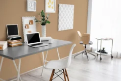 The Color Kitchen Wandfarbe Braun 