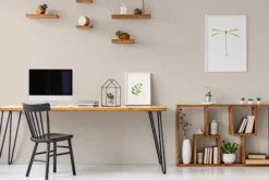 The Color Kitchen Wandfarbe Creme 