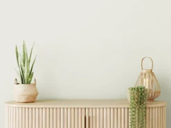 The Color Kitchen Wandfarbe Creme 