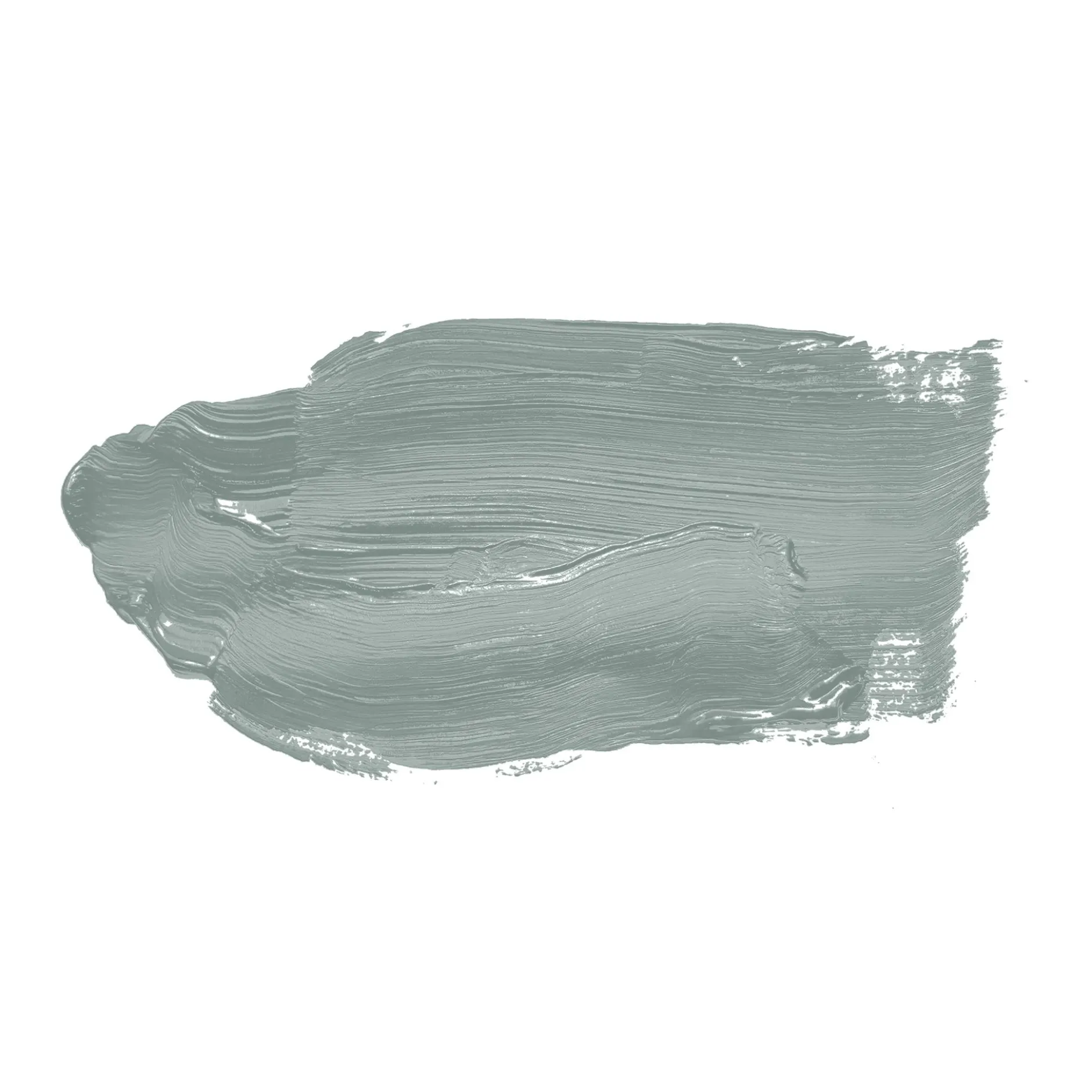 The Color Kitchen Wandfarbe Grün "Unique Eucalyptus" TCK3009 2,5 l