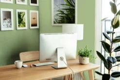 The Color Kitchen Wandfarbe Grün 