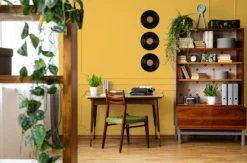 The Color Kitchen Wandfarbe Gelb 