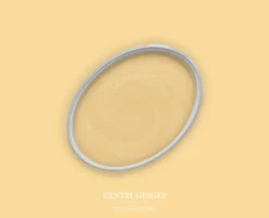 The Color Kitchen Wandfarbe Gelb "Gentel Ginger" TCK5004 2,5 l