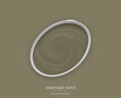 The Color Kitchen Wandfarbe Grün "Ordinary Olive" TCK4013 2,5 l