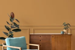 The Color Kitchen Wandfarbe Orange 