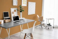 The Color Kitchen Wandfarbe Orange 