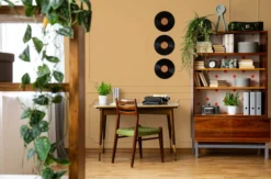 The Color Kitchen Wandfarbe Orange 