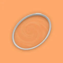 The Color Kitchen Wandfarbe Orange 