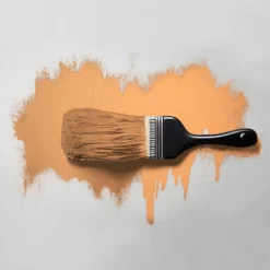 The Color Kitchen Wandfarbe Orange 