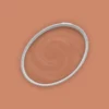 The Color Kitchen Wandfarbe Orange "Ruddy Rosehip" TCK5012 2,5 l