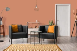 The Color Kitchen Wandfarbe Orange 