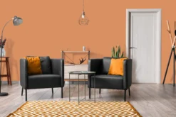 The Color Kitchen Wandfarbe Orange 