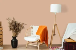 The Color Kitchen Wandfarbe Orange 