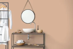 The Color Kitchen Wandfarbe Orange 