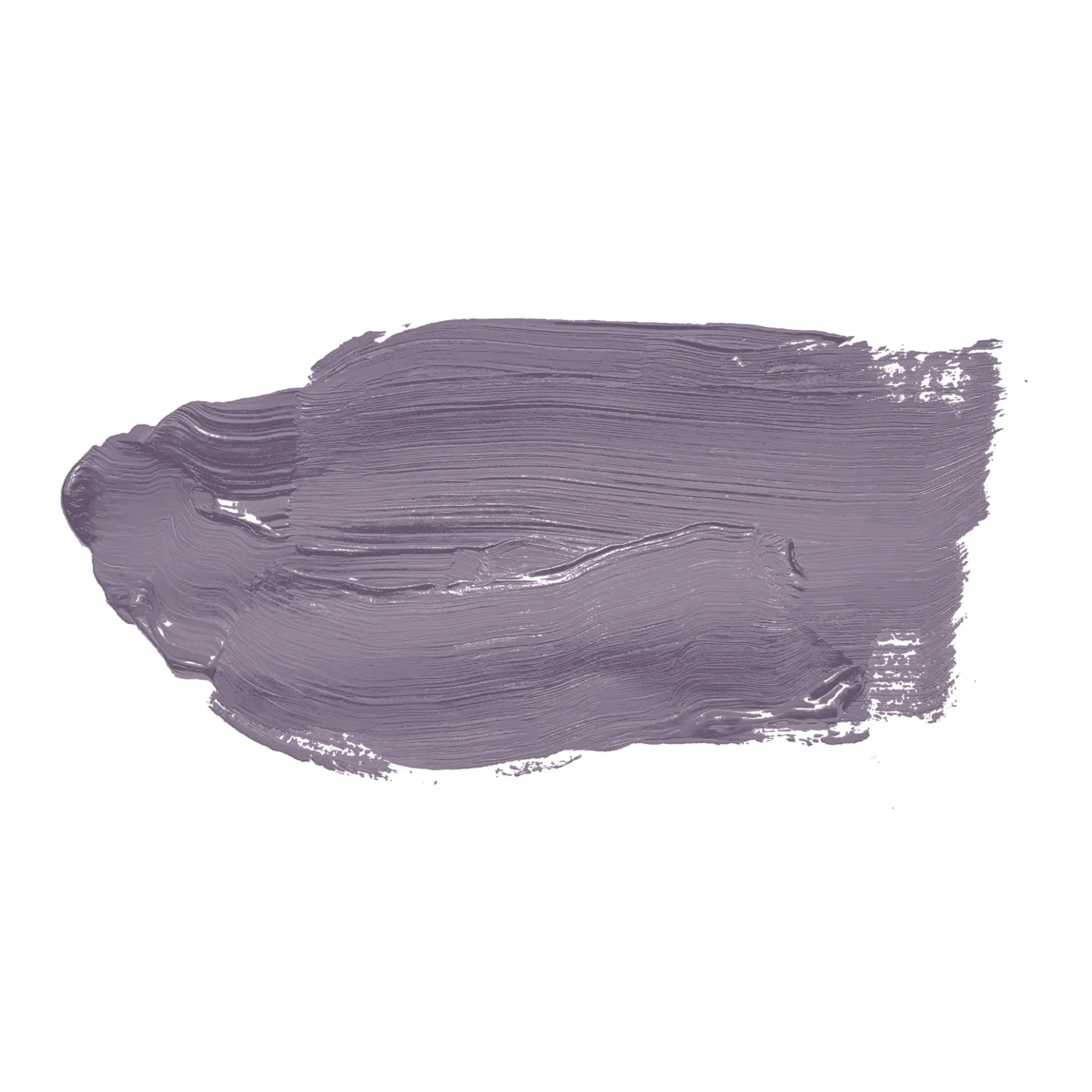 The Color Kitchen Wandfarbe Violett "Artful Aubergine" TCK2006 2,5 l