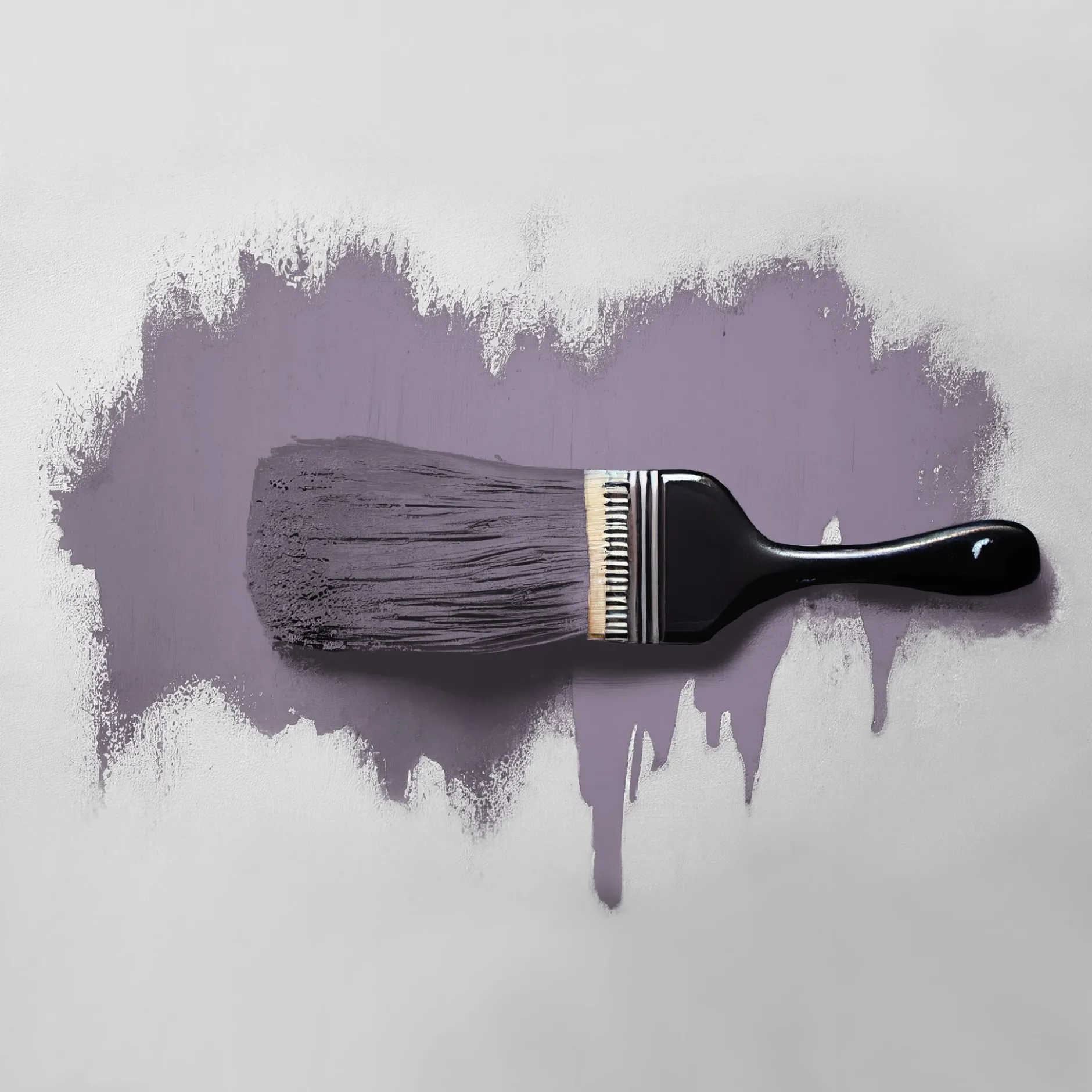 The Color Kitchen Wandfarbe Violett "Artful Aubergine" TCK2006 2,5 l