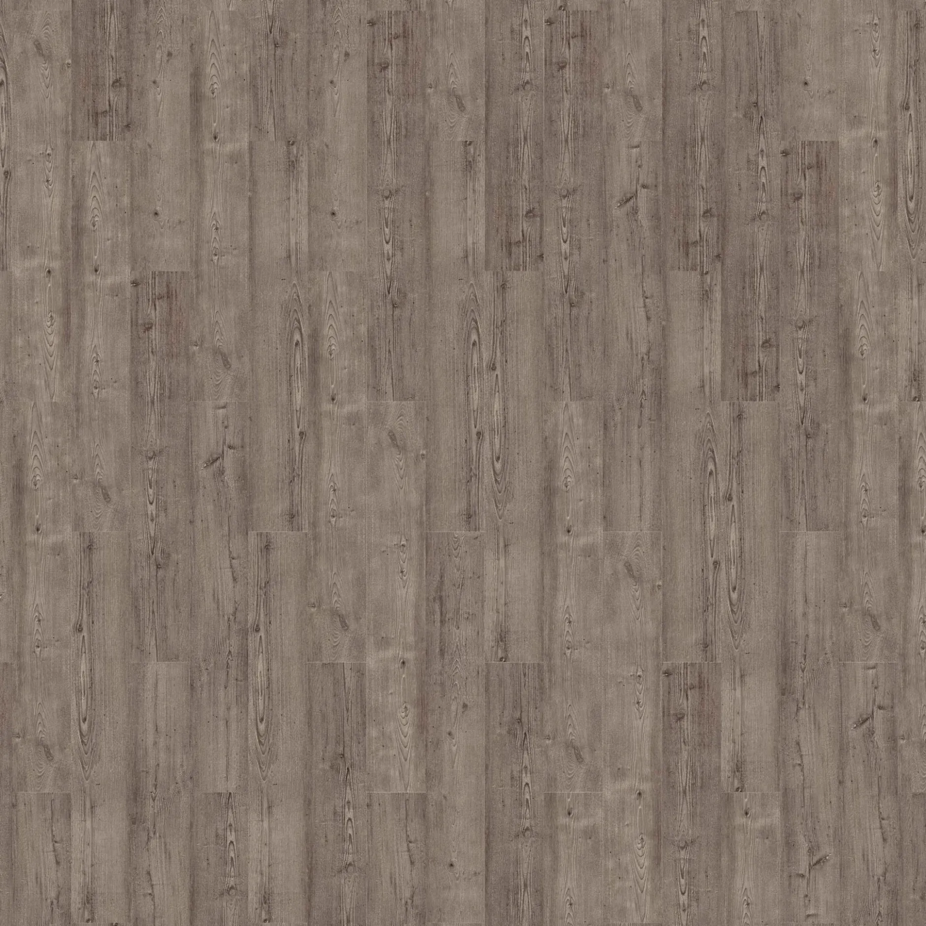Vinylboden Repac CLASSIC 25-05 Light Grey Pine MF47613